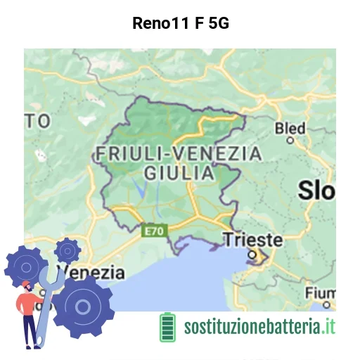 Batteria Reno11 F 5G da sostituire? Prezzi in Friuli-Venezia Giulia