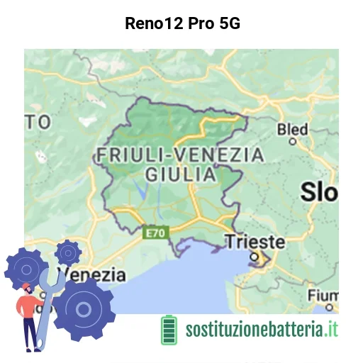 Batteria Reno12 Pro 5G da sostituire? Prezzi in Friuli-Venezia Giulia