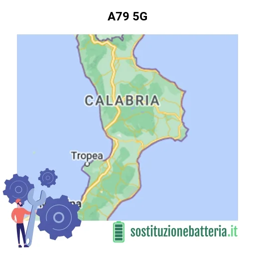 Batteria A79 5G da sostituire? Prezzi in Calabria