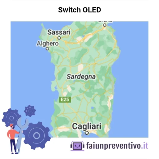 Centri assistenza Nintendo Switch OLED in Sardegna