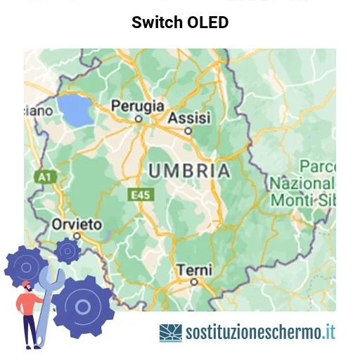 Schermo Switch OLED da sostituire? Prezzi in Umbria