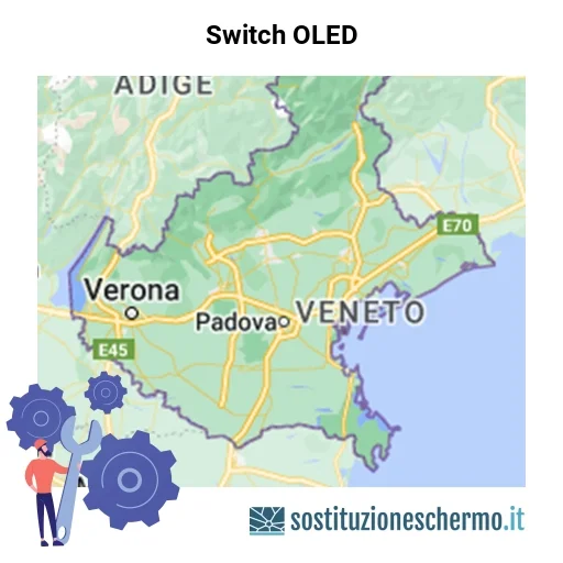 Schermo Switch OLED da sostituire? Prezzi in Veneto