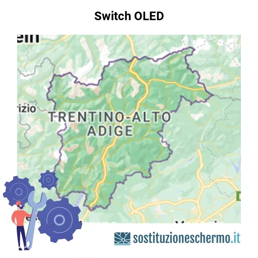 Schermo Switch OLED da sostituire? Prezzi in Trentino-Alto Adige