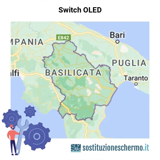 Schermo Switch OLED da sostituire? Prezzi in Basilicata