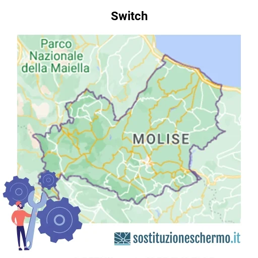 Schermo Switch da sostituire? Prezzi in Molise
