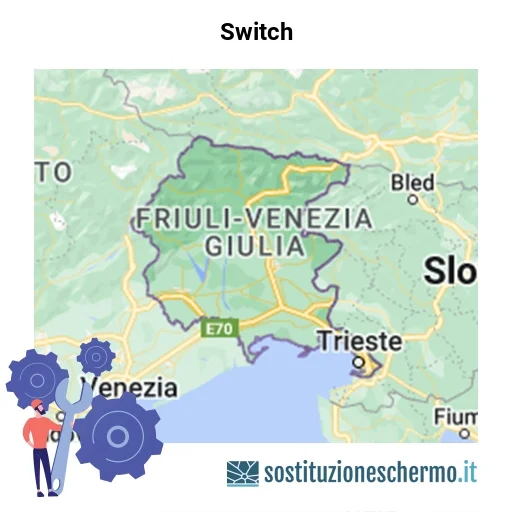 Schermo Switch da sostituire? Prezzi in Friuli-Venezia Giulia
