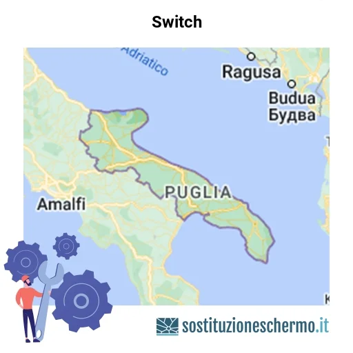 Schermo Switch da sostituire? Prezzi in Puglia
