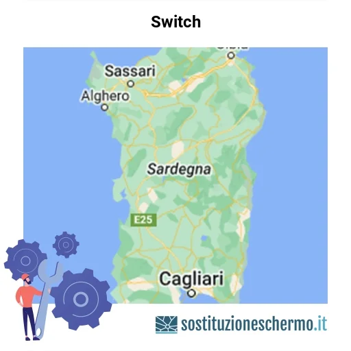Schermo Switch da sostituire? Prezzi in Sardegna