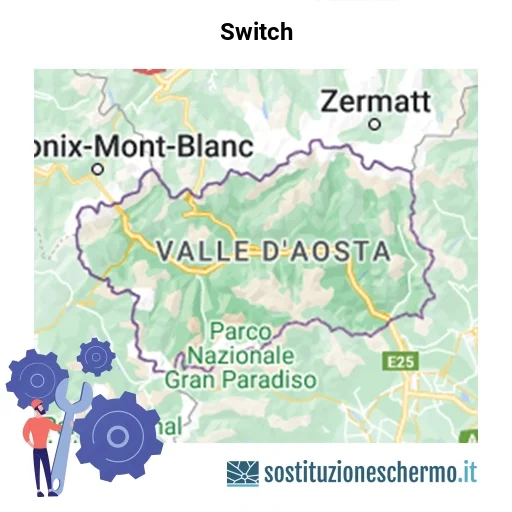 Schermo Switch da sostituire? Prezzi in Valle d’Aosta